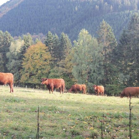 Apartmán Urlaub Auf Dem Bauernhof Netphen Exteriér fotografie