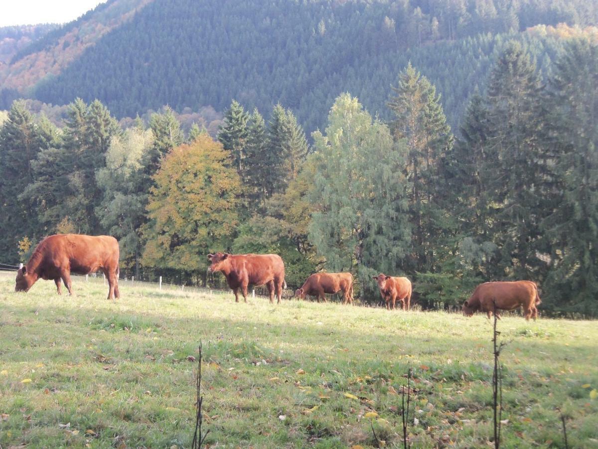 Apartmán Urlaub Auf Dem Bauernhof Netphen Exteriér fotografie